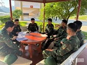 Efficiency of law dissemination and education models